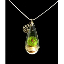 Live Lotus Succulent Necklace Wearable Miniature Succulent Necklace Live Terrarium Necklace (28 Inches)