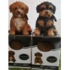 Pet Pals Black and Tan Cavapoo | Resin Home or