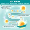 Probioticos + Limpieza Colon 90 Niños Y Adultos Eg J59