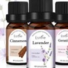 Pure and Natural Scented Oil Essential Oil for Diffuser Premium