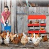 6 Hole Nesting Boxes for Chickens Chicken Coop Laying Box