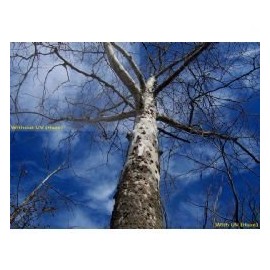 UV (Haze) 1A Multicoated | Multithreaded Glass Filter (58mm) For Olympus 14-42mm f/3.5-5.6 Zuiko ED