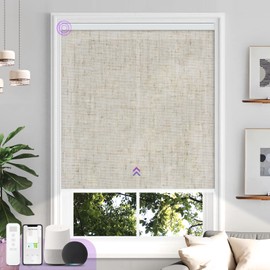 Astomi Smart Light Filtering Shades, Motorized Shades for Windows, 3% Openness Electric Blinds, Work with Alexa Google Home Siri for Voice Control, Custom Size, Ideal for Sun Room, Porch(line Beige)
