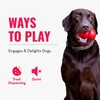 KONG - Rewards Ball - Ultra Durable Interactive Treat Dispensing