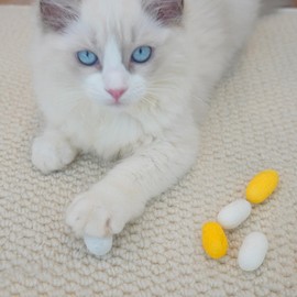 Worm Cocoon Cat Toy,Natural Silk Cocoon Toys for Cats - Pet Cat Interactive Chasing Worm Cocoon Ball Toys, Interactive Cat Toys for Indoor Cats Kittens 6X