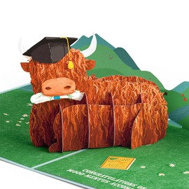 Lovepop Graduation Pop-Up Card for Her and Him - 3D Greeting Cards for Boys, Girls, Men, Women - Heard You're Graduating - 5" x 7 Highland Cow Card - Blank Notecard & Envelope Included