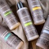 Urtekram Rosmarin Shampoo Bio, feines Haar, 500 ml