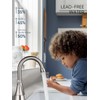 Cobbe 4 inch Brushed Nickel Bathroom Faucets with Pop up