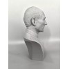 Star Trek The Next Generation Jean Luc Picard 3D Printed