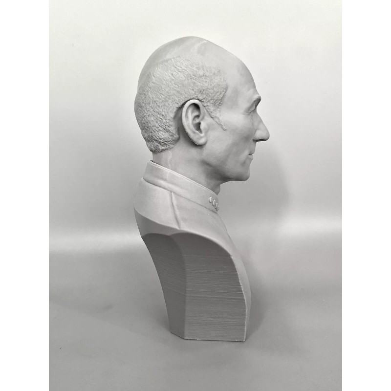 Star Trek The Next Generation Jean Luc Picard 3D Printed