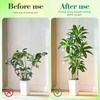 10pcs Stackable Monstera Plant Support,Plant Stakes for Indoor and Outdoor