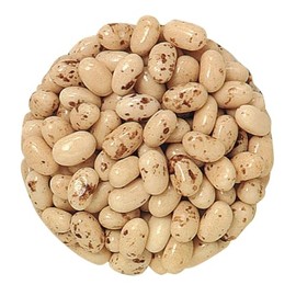 Bayside Candy Jelly Bean Collection All Flavors Jelly Beans (1LB, Toasted marshmallow)