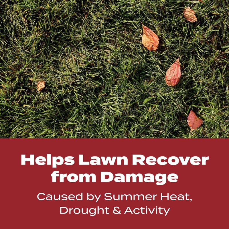 Scotts Turf Builder WinterGuard Fall Lawn Fertilizer for All Grass