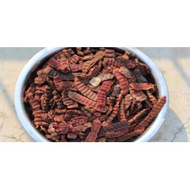 OnMexa Shikakai Pods 100g – Natural Whole Acacia Concinna | Herbal Shikakai for Hair Wash, Scalp Cleanser, Ayurvedic Hair Care & Shampoo Treatment