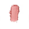 Chantecaille 샹테카이 필란트로피 치크 섀이드 컬렉션 2.5g Chantecaille Philanthropy Cheek