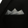 S1 SHLAX&WING Check Grey Men's Necktie 100% Silk, 3.1 x