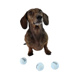 Happy Birthday Mini Squeaky Tennis Balls Set of 12 Blue