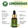 Old Tree Lemongrass Essential Oil, 15 ml