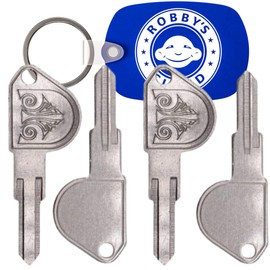 Architectural Mailboxes 5143 Replacement Key Blank with Design for High Security Mailbox Locks Installed on Oasis Models - 1 Robby’s Cloud Keychain Included (4 Pack)