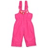 Arctic Quest Little Girls Bib Snow Pants and Ski Jacket