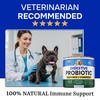 Pawsential Advanced Dog Probiotics for Digestive Health & Enzymes -