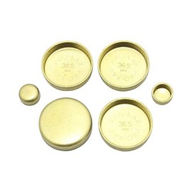 DNJ FPS800 Kit de tapones de expansion