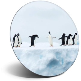 Destination Vinyl ltd Magnet for Refrigerator, Fridge - Cute Penguins on Ice Nature Arctic for Office, Cabinet and Whiteboard, Magnetic Stickers, 44796