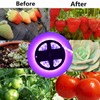 Solar Plant Grow Light Strip Eco Friendly 5W LED High