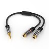 KabelDirekt – 0.2m 3.5mm to RCA Adapter (Adapter 2 x