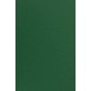 Netuno 10 x Coloured Cardboard, Dark Green, DIN A4, 21