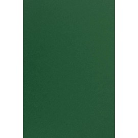Netuno 10 x Coloured Cardboard, Dark Green, DIN A4, 21 x 29.7 cm, 170 g, Sirio Colour Foglia Fine Cardboard, Coloured Craft Card, Printable, Coloured Paper, Creative Card, School Crafts, Print, Decoration Cards, Christmas