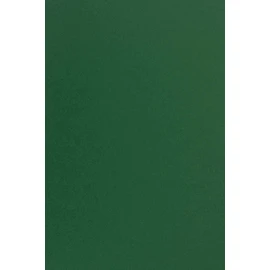 Netuno 10 x Coloured Cardboard, Dark Green, DIN A4, 21 x 29.7 cm, 170 g, Sirio Colour Foglia Fine Cardboard, Coloured Craft Card, Printable, Coloured Paper, Creative Card, School Crafts, Print, Decoration Cards, Christmas