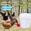 EOKOICA Chicken Waterer Cups, 6 Packs Large Chicken Watering Cups,