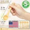 Golden Nature Bamboo Spoon Set (5 Pc), Small Kitchen Teaspoons,