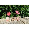 moon peach soap