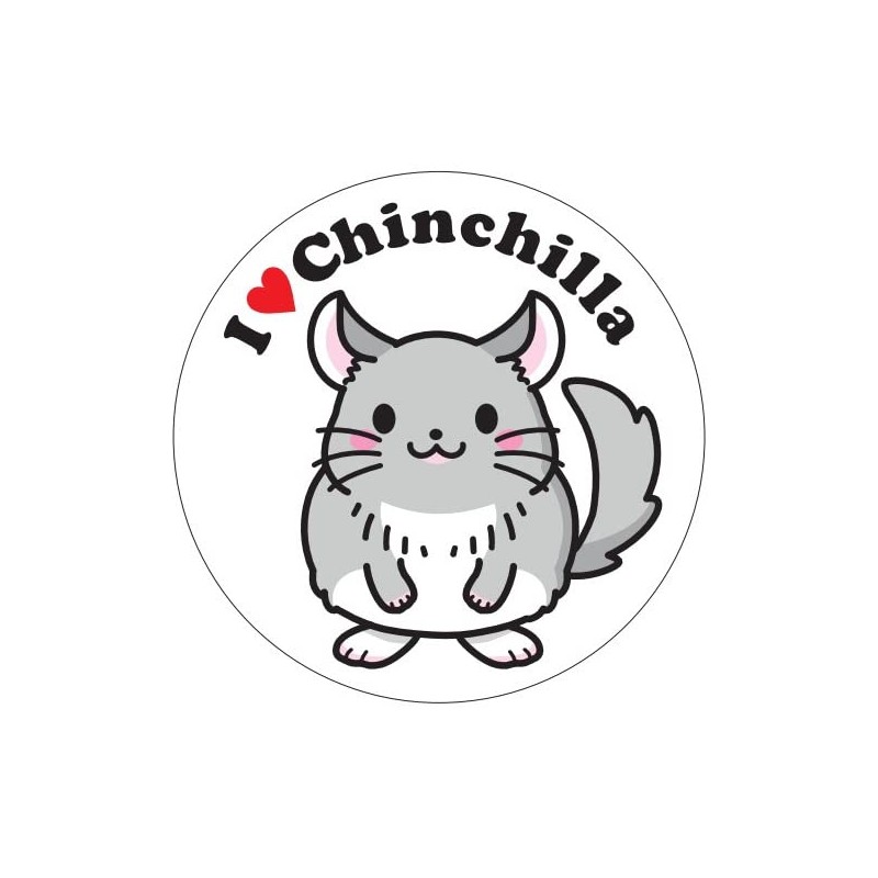 SANKO A101 Introduction to Forging Pumice Cube & Chinchilla Sticker
