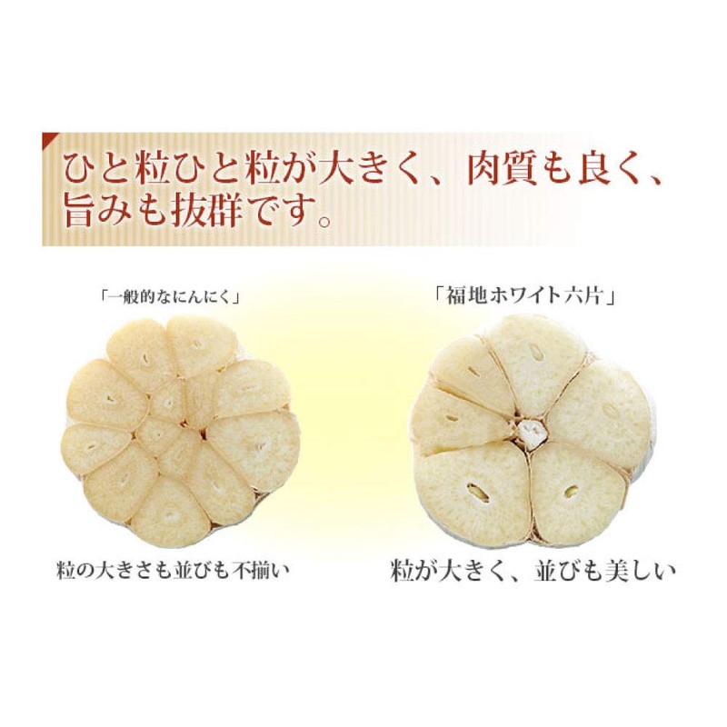 Yamada Apiary Honey Miso Garlic, 1 Bag (3.5 oz (100