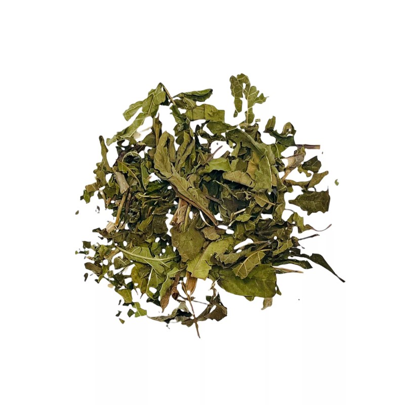 Tronadora Herb - Yellow Elder