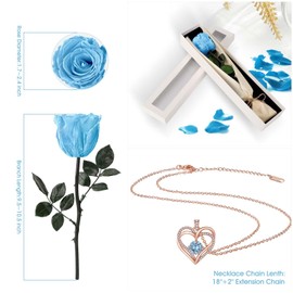 OSIAX Single Preserved Rose with Necklace (Light Blue)