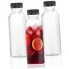 LABRIMP Elegant 400ml Juice Bottles for Cold Brew Juice Reusable
