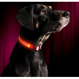 ILLUMISEEN LED Dog Collar USB Rechargeable – Bright & High Visibility Lighted Glow Collar for Pet Night Walking – Weatherproof, in 6 Colors & 6 Sizes (Pink Medium)