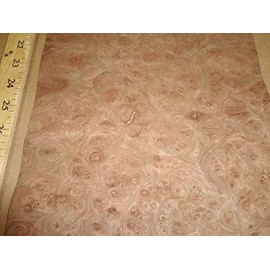 Carpathian Elm Burl Wood Veneer 9" x 11" raw with no Backing 1/42" Thickness AAA