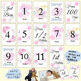 Monthly Cards, Monthly Cards, Up to 3 Years Old, Set of 16, Dull Color, Monthly Photo, New Born Photo, 100th Celebration, Birthday Photo, Monthly Photo Goods (Dull Color, 16, Sheets) (Pink)