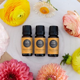 Edens Garden Citrus Cream Essential Oil Blend 100% Pure & Natural Best Recipe Therapeutic Aromatherapy Essential Oil Blends 118 ml (4 oz)