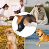 Knee Brace for Dogs | Dog Rear Leg Sleeve |