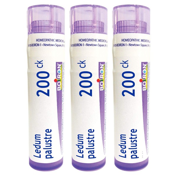 Boiron Ledum Palustre 200ck, Homeopathic Medicine for Insect Bites or Bruising, 3 Count