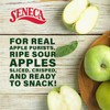 Seneca Sour Apple Chips | Made from Fresh Apples |