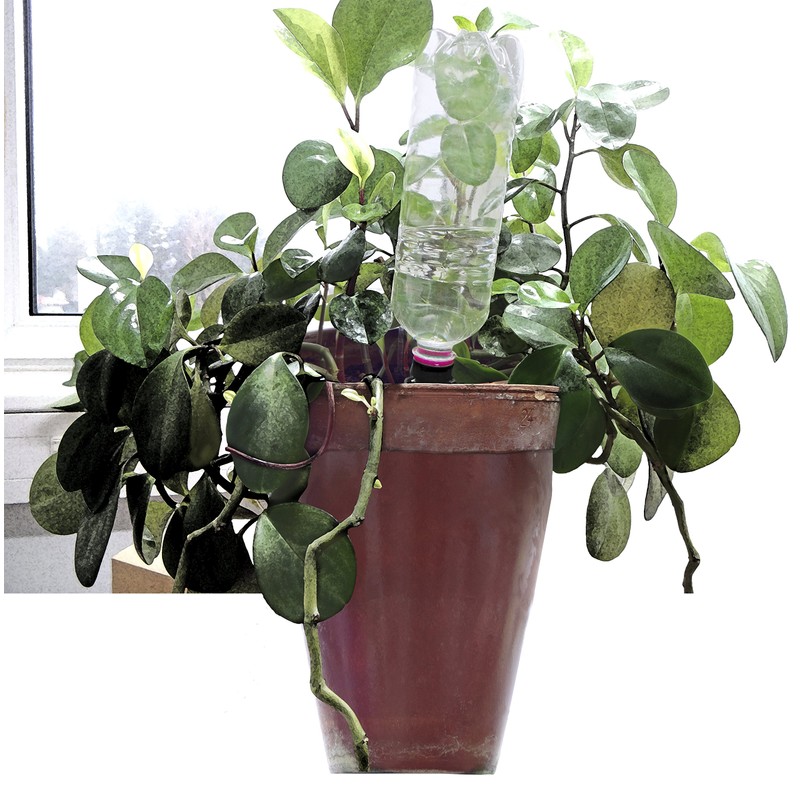 Windhager Automatic Water Dispenser, Bottle Adapter, Irrigation Aid, Irrigation System,