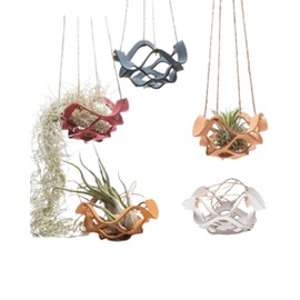 Crazy Bloom Air Plant Holder, Hanging Chain, Air Plants, Hanging Planter