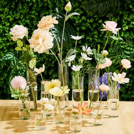 Teenyyou Bud Vases Set of 12 Tall Glass Cylinder Vases Clear Single Flower Vase Bulk Glass Vases for Centerpieces Wedding Decoration Floating Candle Holder for Table Party Wedding Home Decor, 6 Sizes